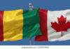 CANADA : la nouvelle loi migratoire déclenche une onde de choc au sein de la diaspora guinéenne